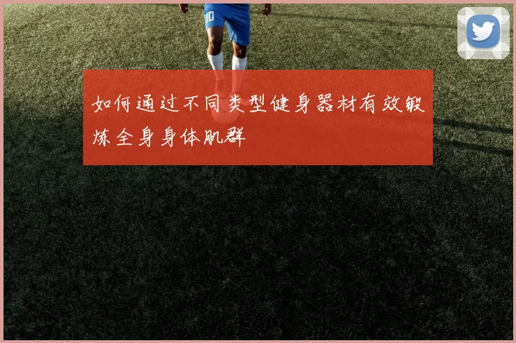 如何通过不同类型健身器材有效锻炼全身身体肌群