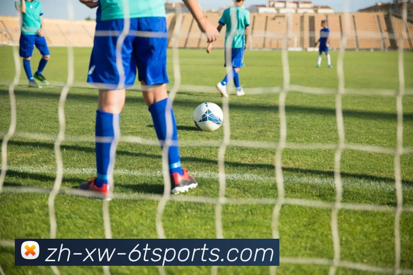 6T体育平台生态图